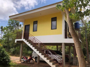 The Yellow House
